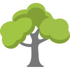 Layton Tree Trimming