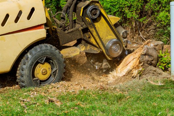 Stump Grinding And Removal